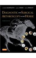 Diagnostic and Surgical Arthroscopy in the Horse