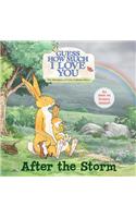 After the Storm
