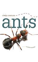 Ants