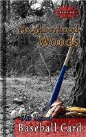 Adventures in the Neighborhood Woods