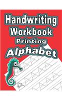 Handwriting Workbook
