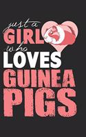 Just A Girl Who Loves Guinea Pigs: Lined Notebook