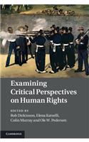 Examining Critical Perspectives on Human Rights