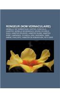 Rongeur (Nom Vernaculaire): Gerbille, Rat Domestique, Castor, Chinchilla, Hamster, Gerbille de Mongolie, Souris, Ecureuil Roux: (French)