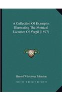 A Collection Of Examples Illustrating The Metrical Licenses Of Vergil (1897): (English)