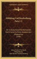 Abbildung Und Beschreibung, Parts 1-2