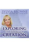 Exploring the Levels of Creation