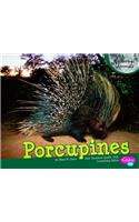 Porcupines