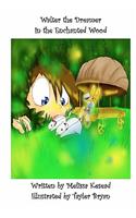 Walter The Dreamer In The Enchanted Wood