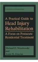 A Practical Guide to Head Injury Rehabilitation