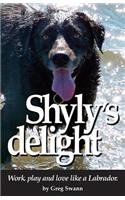 Shyly's delight: Work, play and love like a Labrador.