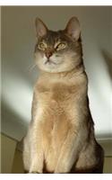 The Abyssinian Cat Journal "Did I Say You Could Take My Picture?": 150 page lined notebook/diary