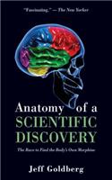 Anatomy of a Scientific Discovery