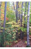 2020 Weekly Planner Fall Foliage Autumn Trees 134 Pages: 2020 Planners Calendars Organizers Datebooks Appointment Books Agendas