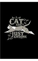 Cat are just awesome