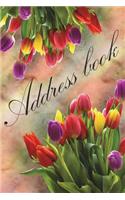Address Book: (Floral) 6x9 - For Record Contact, Birthdays, Ema: Birthdays & Phone Numbers, Email, Alphabetical Organizer Journal Notebook Addresses, Phone Number(3 Address Book)