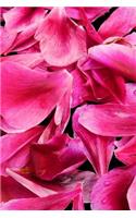Journal: Pink Floral Petals Flower 6 x 9 Unlined Blank Empty Numbered 200 Pages