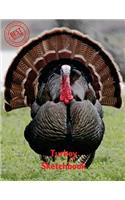 Turkey Sketchbook: (Sketchbook for Teens)