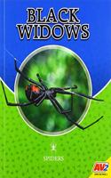 Black Widows