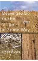 Meaning to Go to the Origin in Some Way
