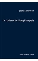 Le Spleen de Poughkeepsie