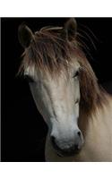 Horse Bullet Journal: Sassy (Comfortable 1/4 Inch Dot Grid) (8.5 X 11): Sassy (Comfortable 1/4 Inch Dot Grid) (8.5 X 11)