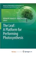 The Leaf