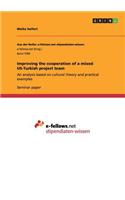Improving the cooperation of a mixed US-Turkish project team: An analysis based on cultural theory and practical examples(English)