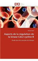 Aspects de la R�gulation de la Kinase Cdc2-Cycline B: (Omn.Univ.Europ.)