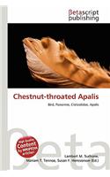 Chestnut-Throated Apalis: (English)