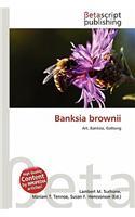 Banksia Brownii