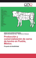 Producción y comercialización de carne de bovino en Puebla, México.