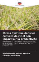 Stress hydrique dans les cultures de riz et son impact sur la productivité