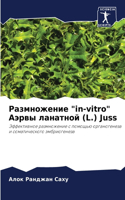 Размножение "in-vitro" Аэрвы ланатной (L.) Juss