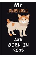 My JAPANESE BOBTAIL Cat Are Born In 2003