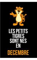Les petits tigres sont nés en décembre
