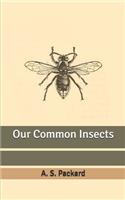 Our Common Insects