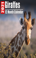 Calendar 2021 Giraffes: Cute Giraffe Photos Monthly Mini Calendar With Inspirational Quotes each Month