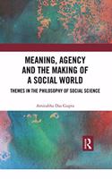 Meaning, Agency and the Making of a Social World