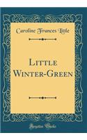 Little Winter-Green (Classic Reprint)