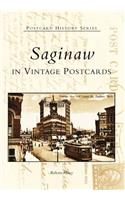 Saginaw in Vintage Postcards