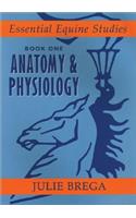 Anatomy & Physiology