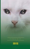 Coochie