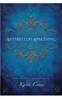 Antebellum Awakening