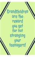 Grandchildren Are: The Reward You Get For Not Strangling Your Teenagers! - Specialty Funny Sarcasm Saying - Journal With Lines