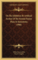 On The Inhibition By Artificial Section Of The Normal Fission Plane In Stenostoma (1900)