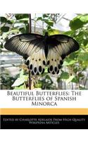 Beautiful Butterflies