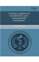 Dynamic Regulation of Micrornas by Post-Transcriptional Mechanisms: (English)