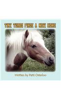 Tiny Turbo Finds a New Home: (English)