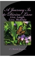 Journey In to Divine Love